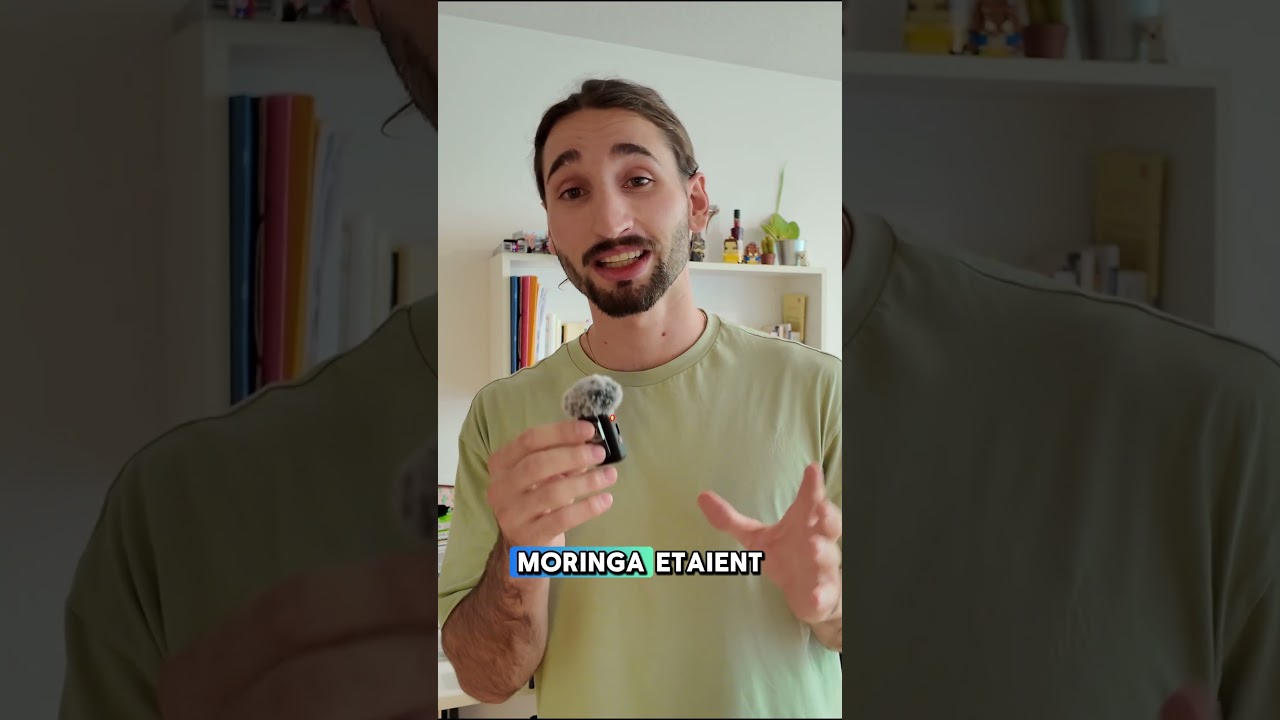 Bienfaits du Moringa : l'arbre de vie