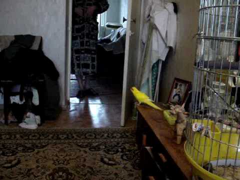 MOV00099.MPG