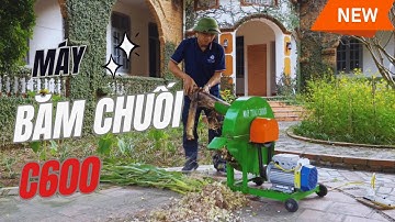 Máy Băm Chuối C600 Bình Minh  Căm Cây Chuối, Cỏ Voi, Thân Cây Ngô, Rau Bèo.. Làm Thức Ăn Chăn Nuôi.