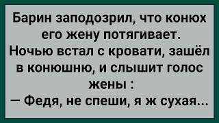 Как Барин в Конюшне За Женой Следил! Сборник Свежих Анекдотов! Юмор!