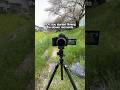 a pocket cinema camera?