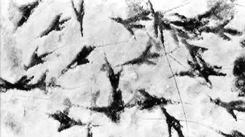 MADDY PRIOR: Twa Corbies