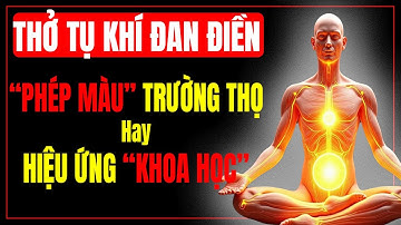 Càng Thở Càng Thọ? Bí Ẩn Thở Tụ Khí Đan Điền Dưới Lăng Kính Khoa Học