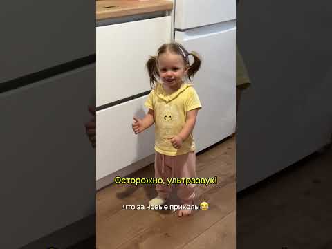 Когда она перестанет визжать без повода?😂 Наш тгк: kolpakovs_family