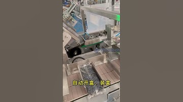 Flow Wrapping+Automatic Box Packaging +Labelling +Case Packer