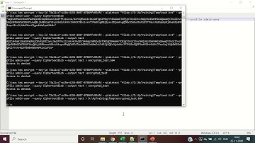 Encrypt Data  -  AWS CLI