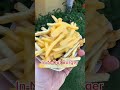 Best Fries 🍟 In America ?