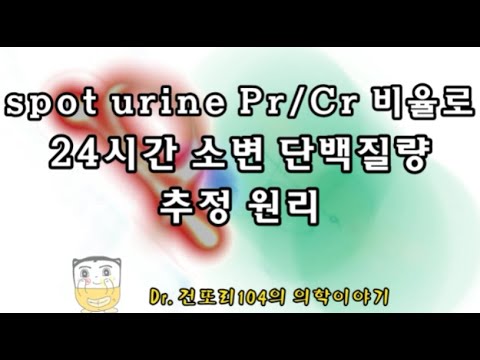 spot urine protein/creatinine ratio로 24h urine protein 양을 추정하는 원리