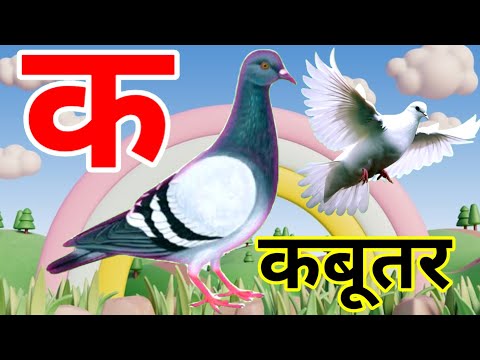 अ से अनार | आ से आम | a se anar | aa se aam | क से कबूतर | K