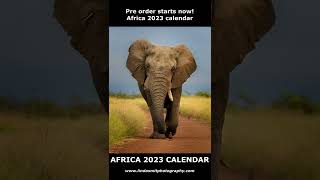 My best photos of 2023, Calendars &amp; Cards for sale Africa &amp; Tigers calendar Big Cats &amp; Babies cards