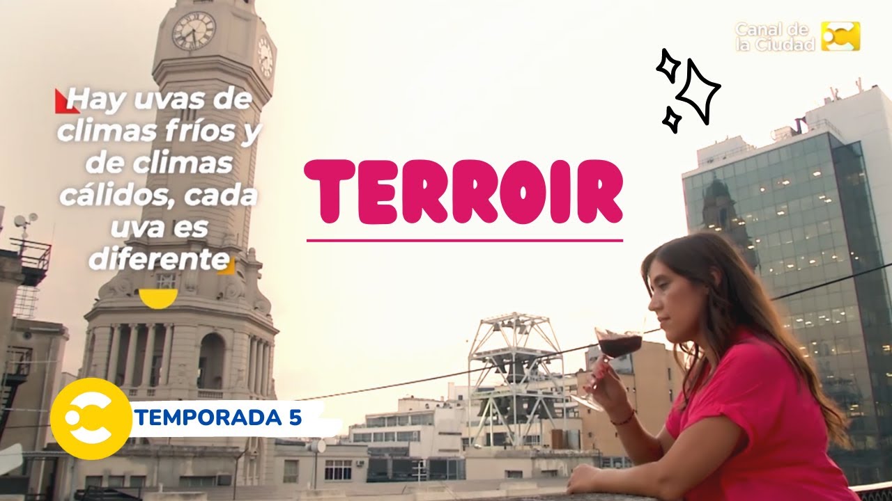 ¿Qué es el terroir y por qué es importante?