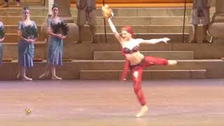 my top 15 favourite ballerinas