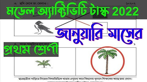 Model activity task 2022 | January | class 1 | মডেল অ্যাক্টিভিটি টাস্ক প্রথম শ্রেণী 2022 জানুয়ারি