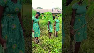 TeenBlues #funny #love #series #shorts #shortvideo #short #shortsfeed #shortsviral