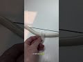 How Vets Take X-Rays of SNAKES! 🐍