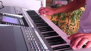 Video thumbnail of "Mladen Grdovic - Nije u soldima sve Instrumental cover"