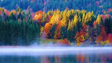 The First Day of Autumn, Peaceful Soothing Instrumental Music, "Canadian Autumn" by Tim Janis