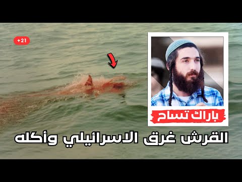 القرش ده مزق وأكل جندي إسرائيلي في البحر أول هجوم دموي من 80 سنة