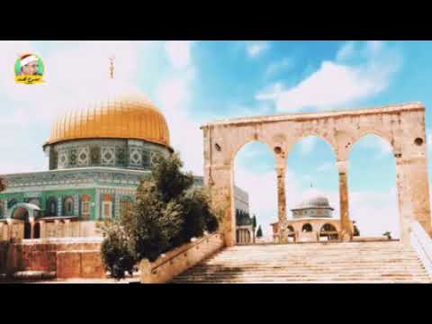 حالة واتس أم حسبتم أن تدخلوا الجنة ولما يعلم الله الشيخ محمد عبد الوهاب الطنطاوي 