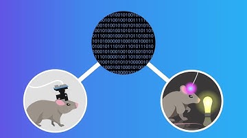 How does DataJoint support automation & reproducibility in research?