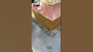 Ngeri, Kuburan opung toga naipospos di puncak dolok imun