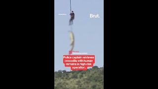 Police captain retrieves crocodile with human remains in high-risk operation.
