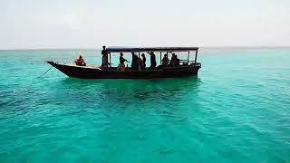 Cool Zanzibar Diving Center Kiwengwa - Mnemba Atoll Diving