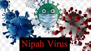 Do you know what is Nipah Virus? You see this video✍️