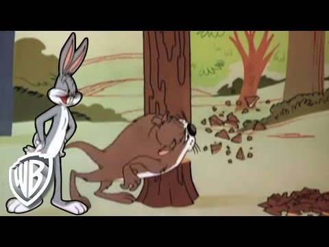 Looney Tunes | Devil May Hare