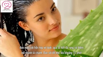 Chăm sóc tóc khô xơ, hư tổn đúng cách từ thiên nhiên