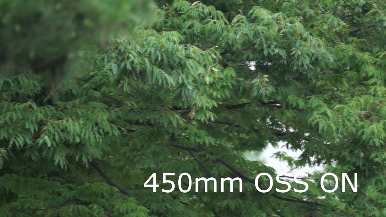 Sony a6000 FE 70300mm OSS Video Stabilization Test SEL70300 YouTube