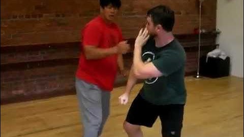 Fighting Arts - Yin Style Bagua - Entering Attacks