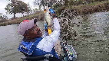Catch LOADS of creek Crappie this fall by using my tips around brush pile and standing timber