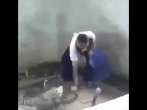 يستفزونك ليخرجوا اسوء ما فيك