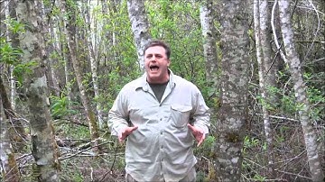 Crikey! Cut Through The Jungle Of Computer Rental Options With Rentacomputer!