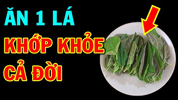 Trị ĐAU XƯƠNG ĐAU KHỚP Chỉ Bằng Nắm Lá Mơ Lông RẺ NHƯ BÈO Mà Ít Ai Biết