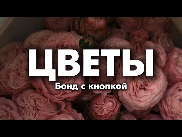 Бонд с кнопкой - Цветы (lyrics) || Текст Песни