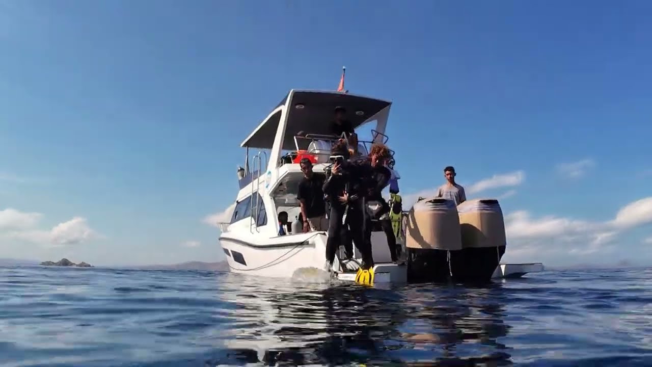 More of The Worlds Best Diving
