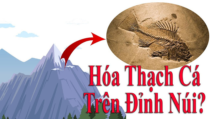 Himalaya hình thành cách đây bao nhiêu triệu năm năm 2024