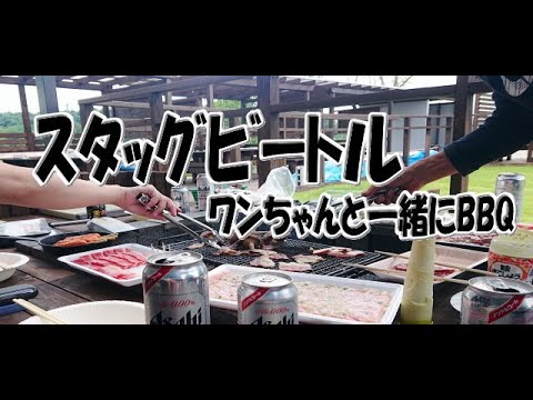 スタックビートル　BBQ　バーベキュー場