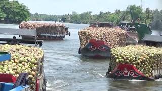 Tài công không sợ hãi khi đưa ghe qua cống ở Trà Vinh/ vietnam river boats