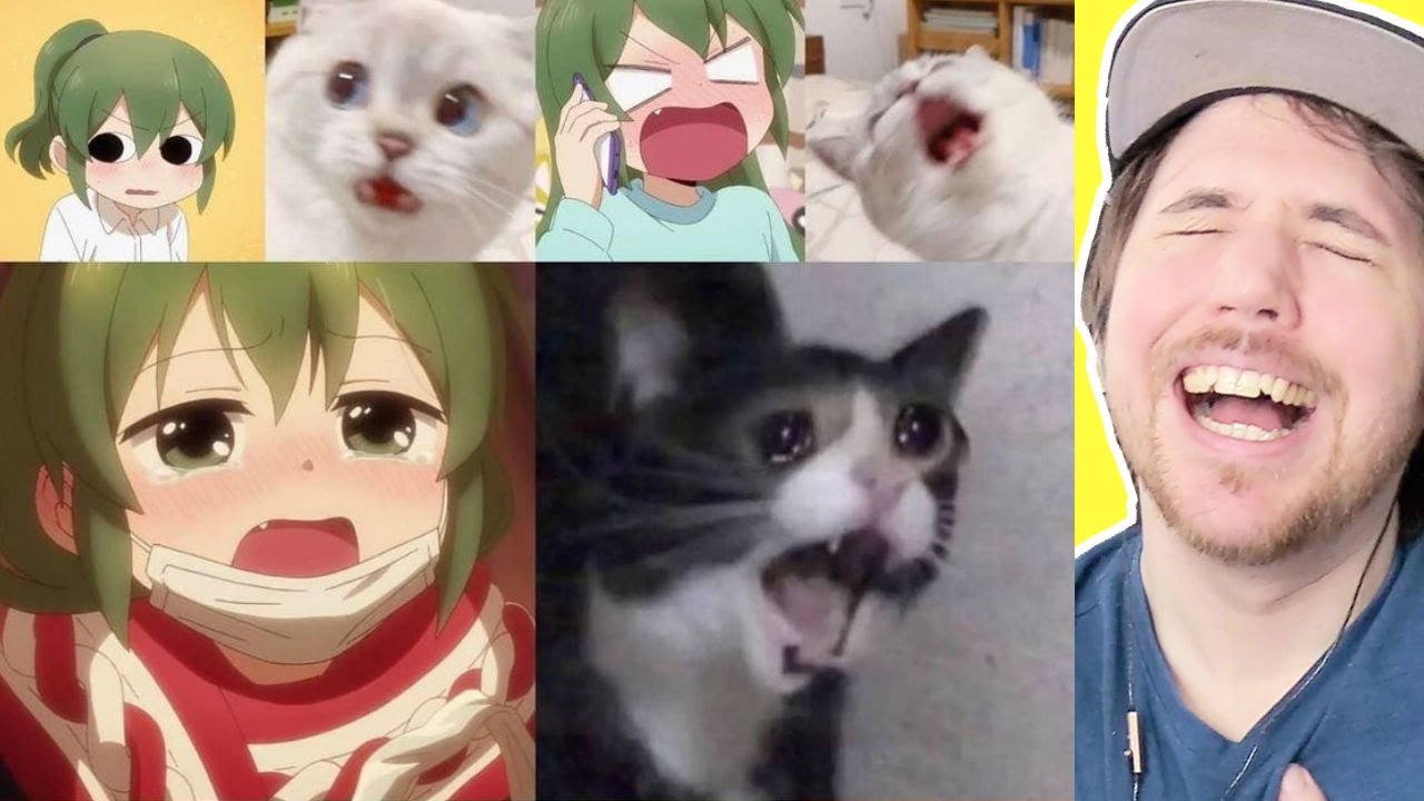 FUNNY ANIME MEMES (Cat girls have downsides) 