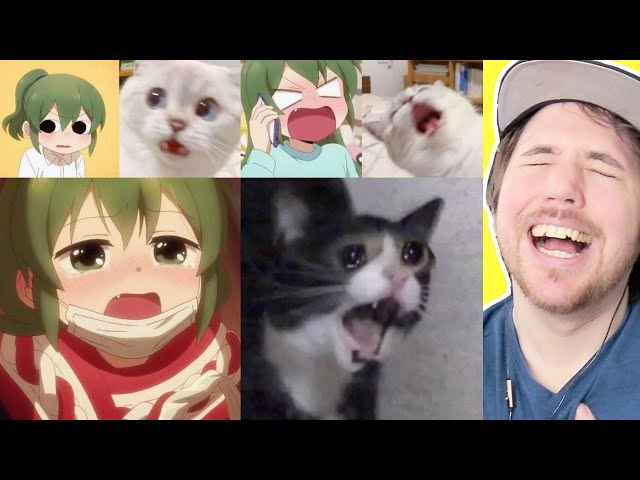 Anime Memes - Once a Catgirl, always a Catgirl.