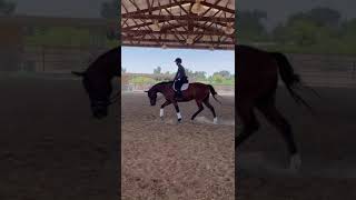 Eddie's sale video