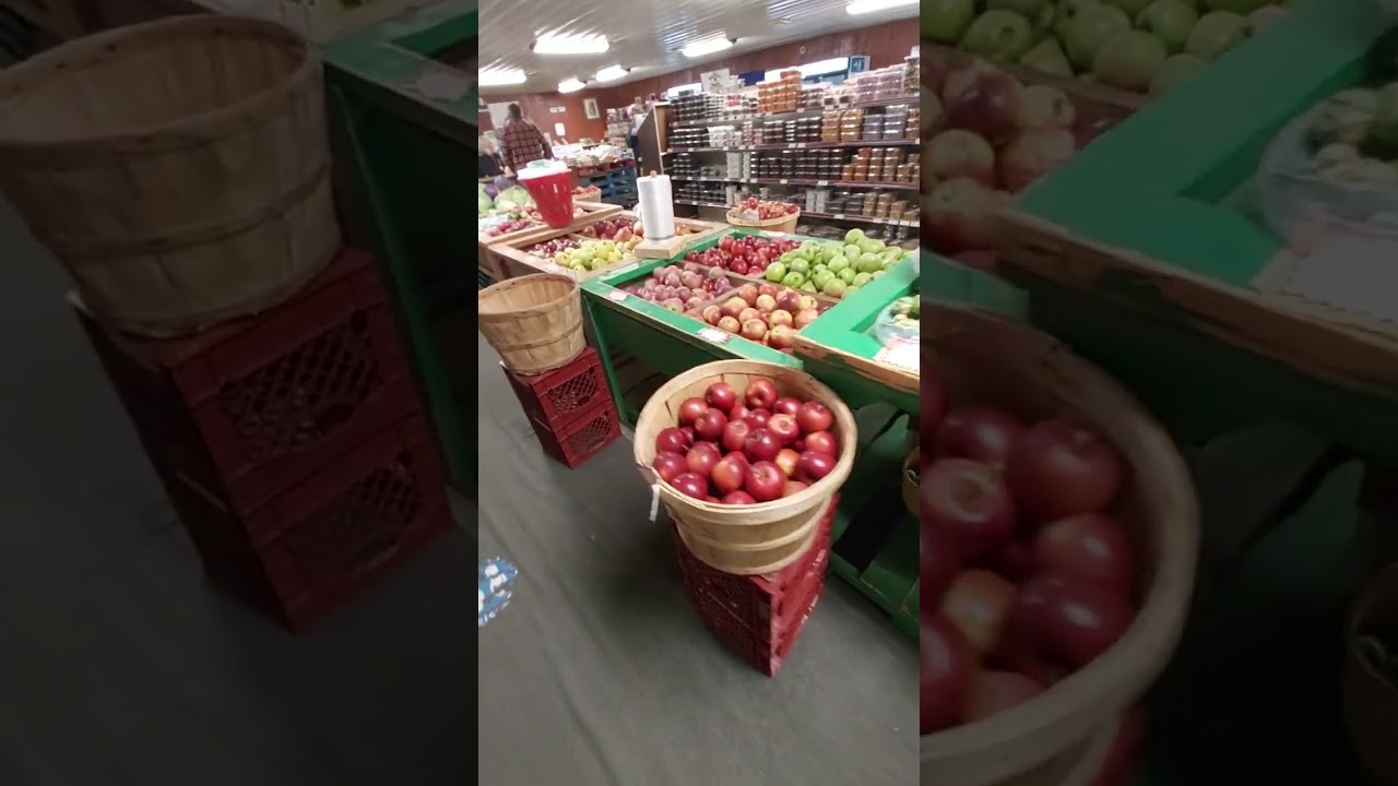 THE VEGGIE BOYS !!!!  VISIT.