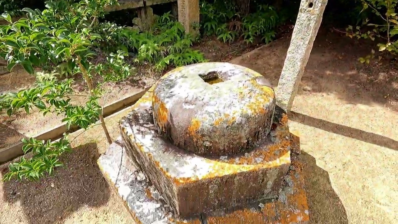 Local shrine【Watatsumi-jinja Shrine】Hofu City　Oct/09/2025年10月09日