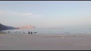 VID 20230326 WA0028