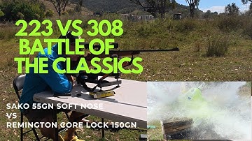 .223 vs .308: Epic Ballistics Battle! Penetration Test on Milk Jugs – Shocking Results Revealed!