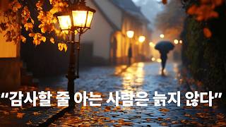 감사는 마음을 젊게 하고, 삶을 단단하게 만드는 힘입니다.오늘의 일라이영 오디오북은 ‘감사의 철학’에 대한 깊은 이야기입니다.