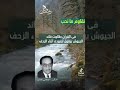 ان الله مبتليكم بنهر فمن شرب منه فليس مني ان الله مبتليكم بنهر فمن شرب منه فليس مني